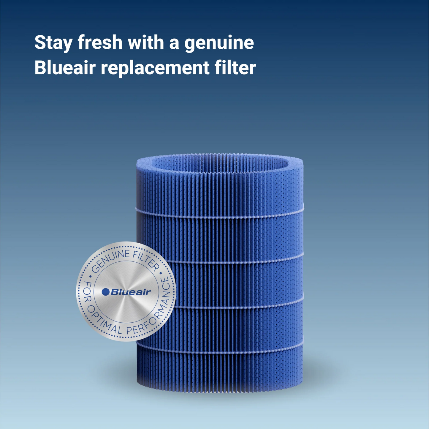 BLUEAIR Genuine Particle Filters & Wick Filter, Replacement for DH3i 2-in-1 Purify + Humidify
