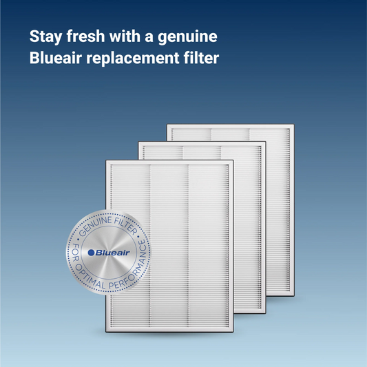 BLUEAIR Genuine Particle Filters & Wick Filter, Replacement for DH3i 2-in-1 Purify + Humidify