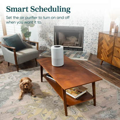 Levoit - Core 200S Smart Air Purifier - Grey